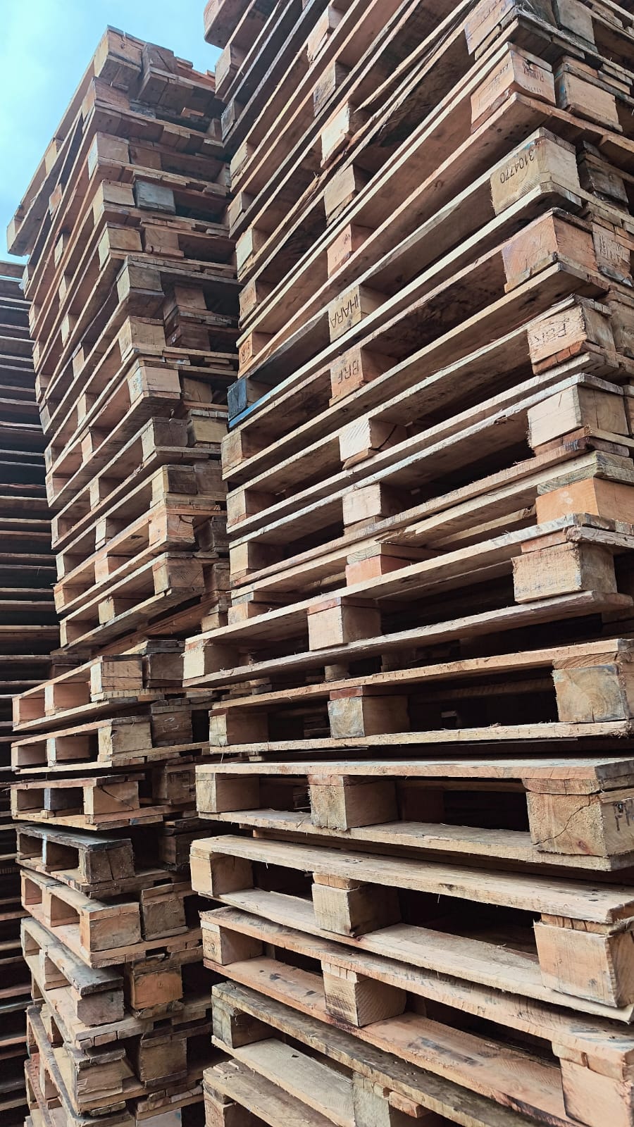 Pallet PBR 1000x1200MM